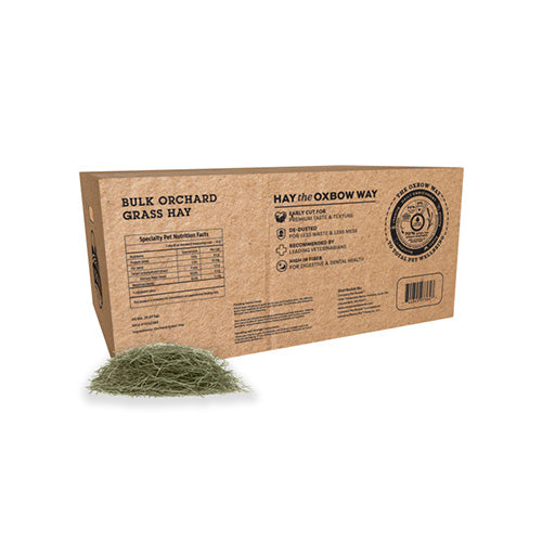 Oxbow orchard grass foin pour rongeur