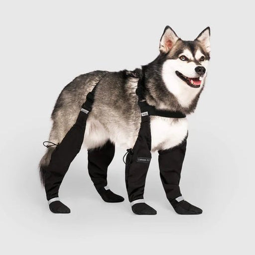 Bottes à bretelles pour chiens - Manteaux - Canada pooch - Bottes à bretelles pour chiens