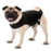 Enveloppement d’anxiété pour chien - anxiété warp - Animals the company - Enveloppement d’anxiété pour chien