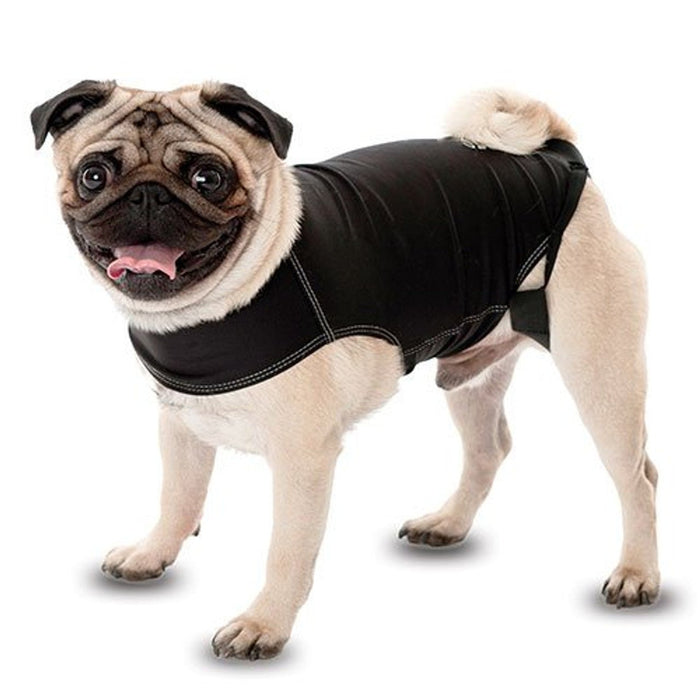 Enveloppement d’anxiété pour chien - anxiété warp - Animals the company - Enveloppement d’anxiété pour chien