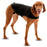 Enveloppement d’anxiété pour chien - anxiété warp - Animals the company - Enveloppement d’anxiété pour chien