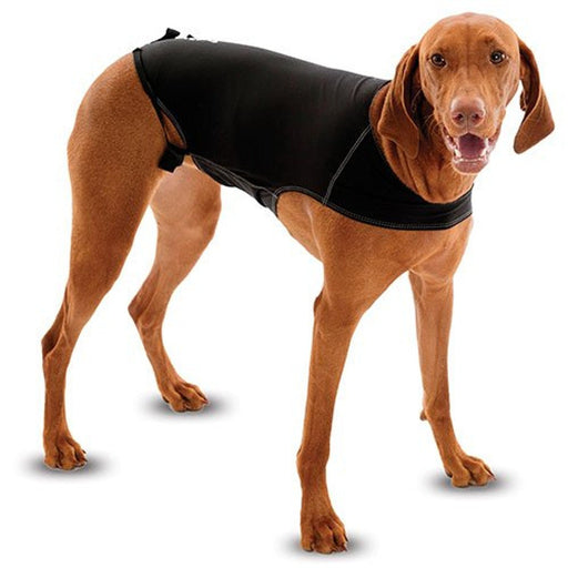 Enveloppement d’anxiété pour chien - anxiété warp - Animals the company - Enveloppement d’anxiété pour chien