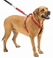 Harnais de control pour chien x large - Harnais Chien - Sporn - Harnais de control pour chien x large