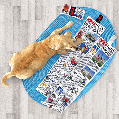 Kong jouet journal 3' pour chien - Journal - Kong - Kong jouet journal 3' pour chien