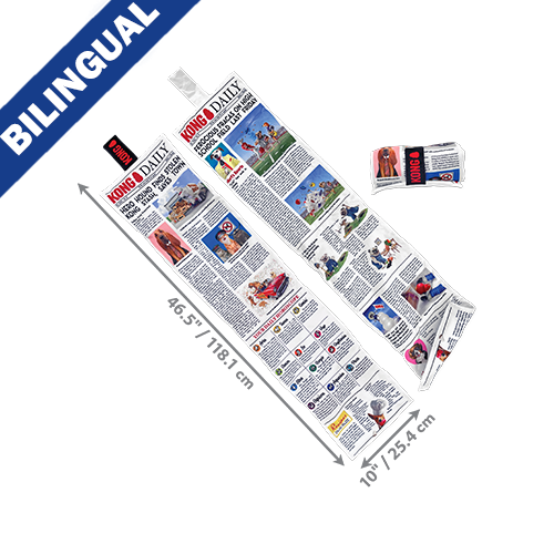 Kong jouet journal 3' pour chien