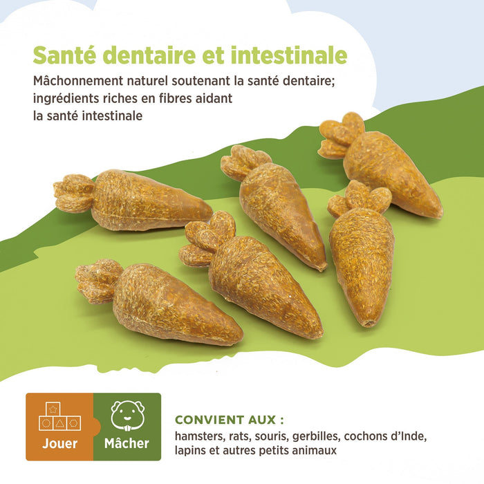 Living World – Jouet à mâcher comestible, Carottes, orange, paquet de 6, 78 g - Jouet Rongeur - Living World - Living World – Jouet à mâcher comestible, Carottes, orange, paquet de 6, 78 g