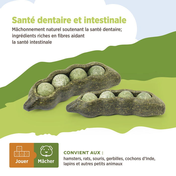 Living World – Jouet à mâcher comestible, Cosse de pois, vert, paquet de 3.75 g - Jouet Rongeur - Living World - Living World – Jouet à mâcher comestible, Cosse de pois, vert, paquet de 3.75 g