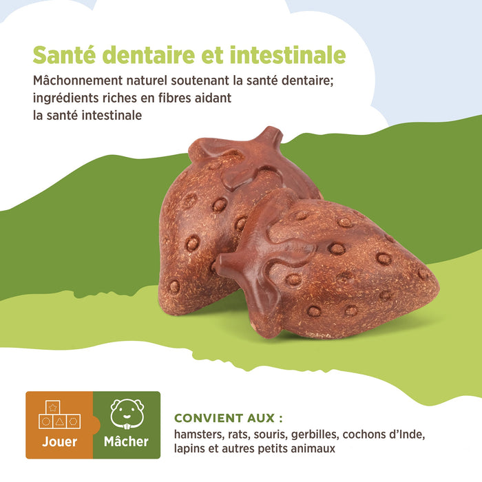 Living World – Jouet à mâcher comestible, Fraises, rouge, paquet de 3, 81 g - Jouet Rongeur - Living World - Living World – Jouet à mâcher comestible, Fraises, rouge, paquet de 3, 81 g