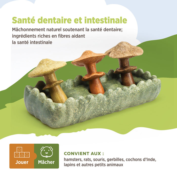 Living World – Jouet à mâcher comestible, Parcelle de champignons, multicolore, 170 g - Jouet Rongeur - Living World - Living World – Jouet à mâcher comestible, Parcelle de champignons, multicolore, 170 g