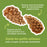 Living World – Jouet à mâcher comestible, Pommes de pin, brun, paquet de 6, 66 g - Jouet Rongeur - Living World - Living World – Jouet à mâcher comestible, Pommes de pin, brun, paquet de 6, 66 g