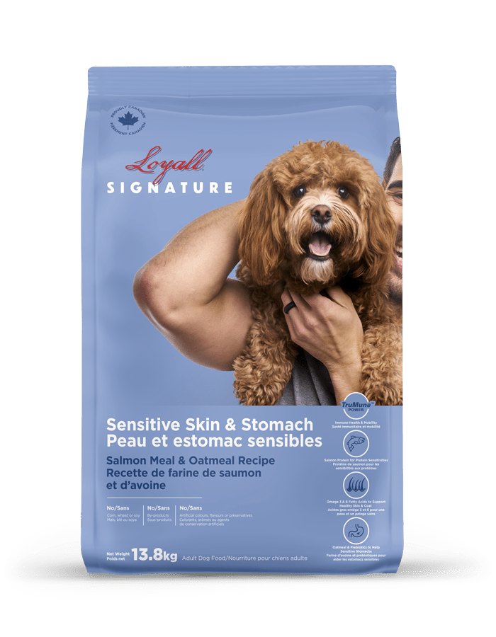 Loyall Signature Recette de saumon pour peau et estomac sensibles 13,8 KG - Nourriture pour chiens - Loyall - Loyall Signature Recette de saumon pour peau et estomac sensibles 13,8 KG
