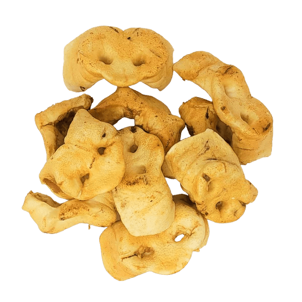 Nez de porc pour chien paquet de 10 - Gaterie pour Chien - Kyon - Nez de porc pour chien paquet de 10