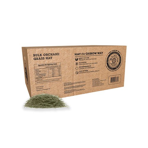 Oxbow orchard grass foin pour rongeur - Rongeur nourriture - OXBOW - #original_value#