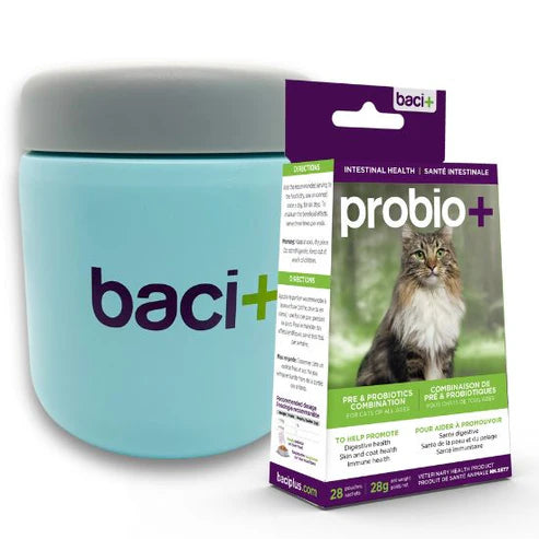 Baci+ probio + pour chat