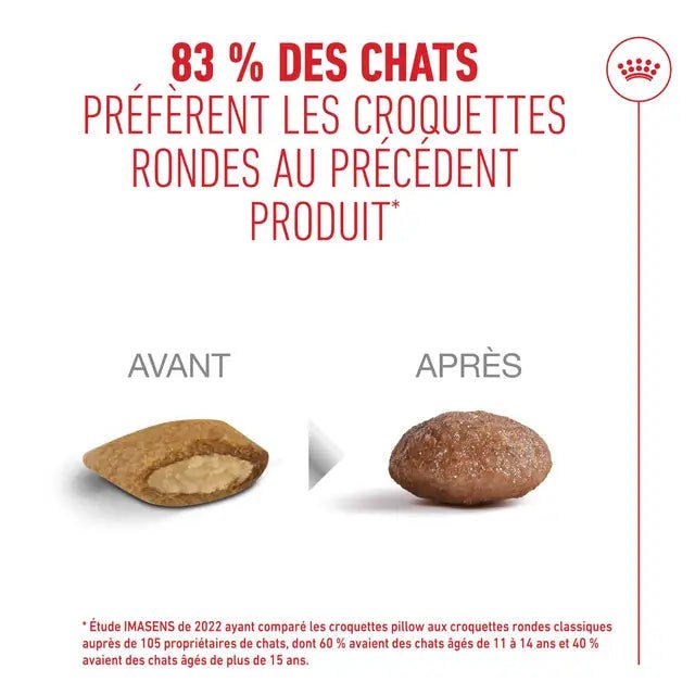 Royal Canin chat adulte agé 11+ - Nourriture Chats - Royal Canin - #original_value#