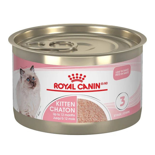ROYAL CANIN CHATON PÂTÉ EN SAUCE – nourriture en conserve pour chatons - Nourriture Chats - Animaux Bouffe - ROYAL CANIN CHATON PÂTÉ EN SAUCE – nourriture en conserve pour chatons