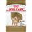 Royal Canin Chien adulte race caniche - Nourriture Chiens - animauxbouffe - Royal Canin Chien adulte race caniche