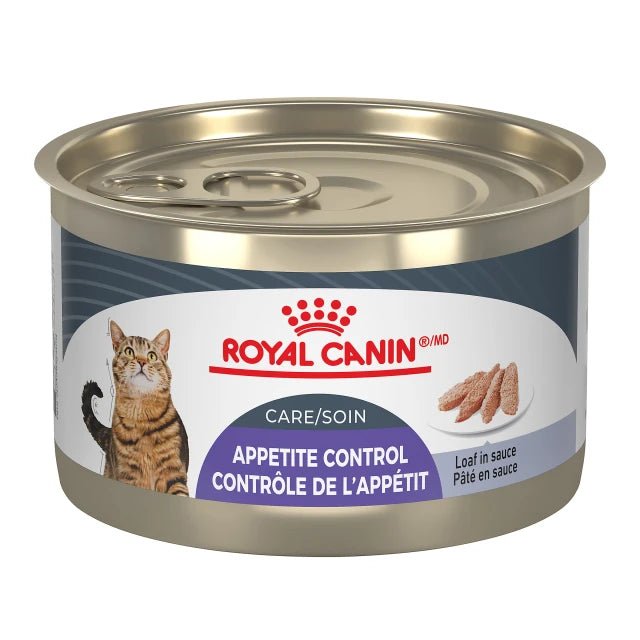 ROYAL CANIN SOIN CONTRÔLE DE L'APPÉTIT PÂTÉ EN SAUCE – nourriture en conserve pour chats, 145 g, (5.1 oz) - Nourriture Chats - animauxbouffe - ROYAL CANIN SOIN CONTRÔLE DE L'APPÉTIT PÂTÉ EN SAUCE – nourriture en conserve pour chats, 145 g, (5.1 oz)