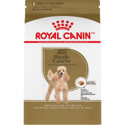 Royal Canin Chien adulte race caniche