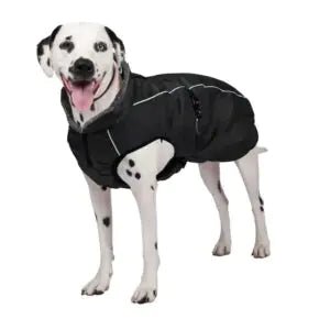 Shedrow K9 chinook manteau pour chien, noir - Manteau - Shedrow k9 - Shedrow K9 chinook manteau pour chien, noir