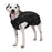 Shedrow K9 chinook manteau pour chien, noir - Manteau - Shedrow k9 - Shedrow K9 chinook manteau pour chien, noir