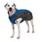 Shedrow manteaux pour chien chinook k9 xl bleu - Manteaux - Shedrow k9 - Shedrow manteaux pour chien chinook k9 xl bleu