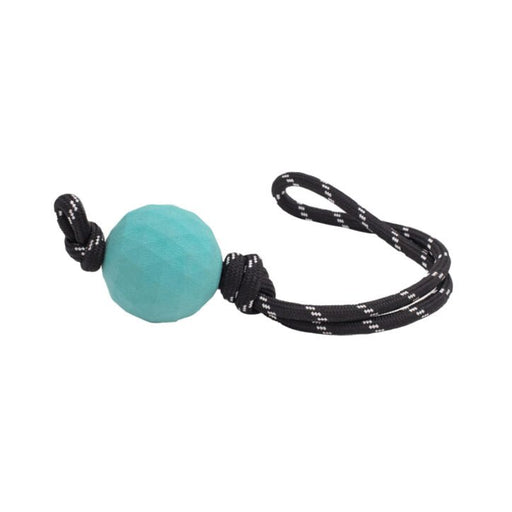 ZippyPaws – ZippyTuff RopeTugz Balle Waggle Avec Corde - JOUET CHIEN - ZippyPaws - ZippyPaws – ZippyTuff RopeTugz Balle Waggle Avec Corde