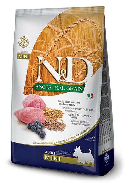 Farmina n&d adulte mini agneau nourriture pour chiens