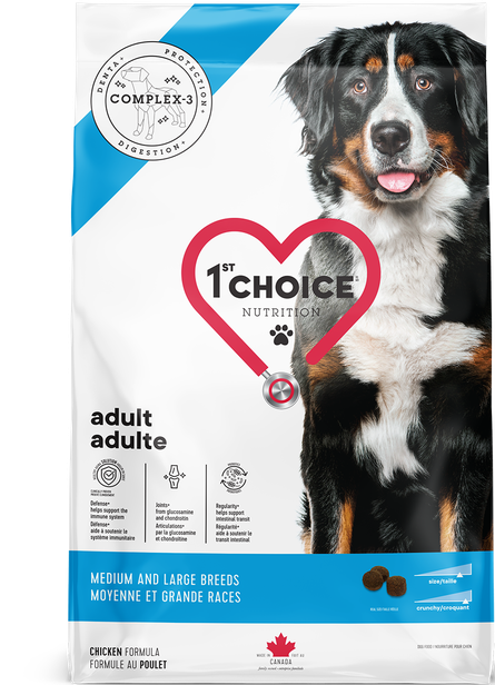 1ST Choice chien adulte moyenne et grande races