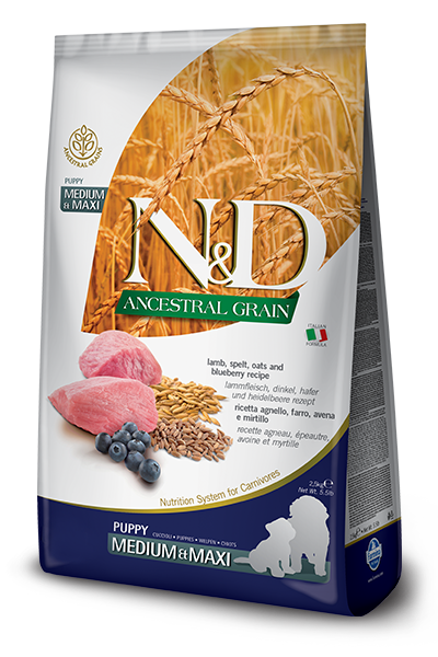 Farmina n&d agneau et bleuet avec grains nourriture pour chiots medium maxi