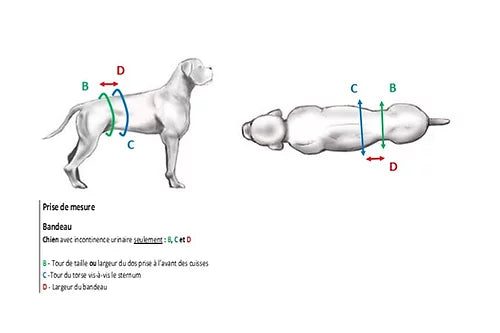 YAMACOUCHE BANDEAU D'ABSORPTION LAVABLE