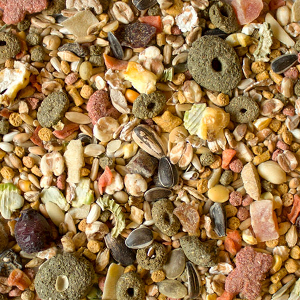 Sunseed nourriture cokatiel et conure