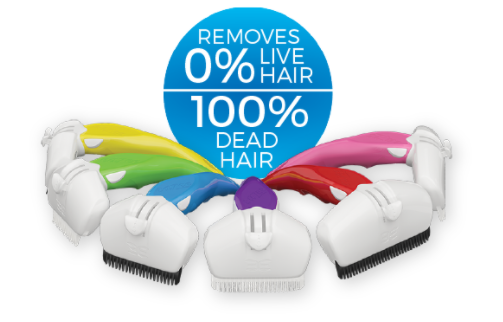 Eazee brosse chien pour mue
