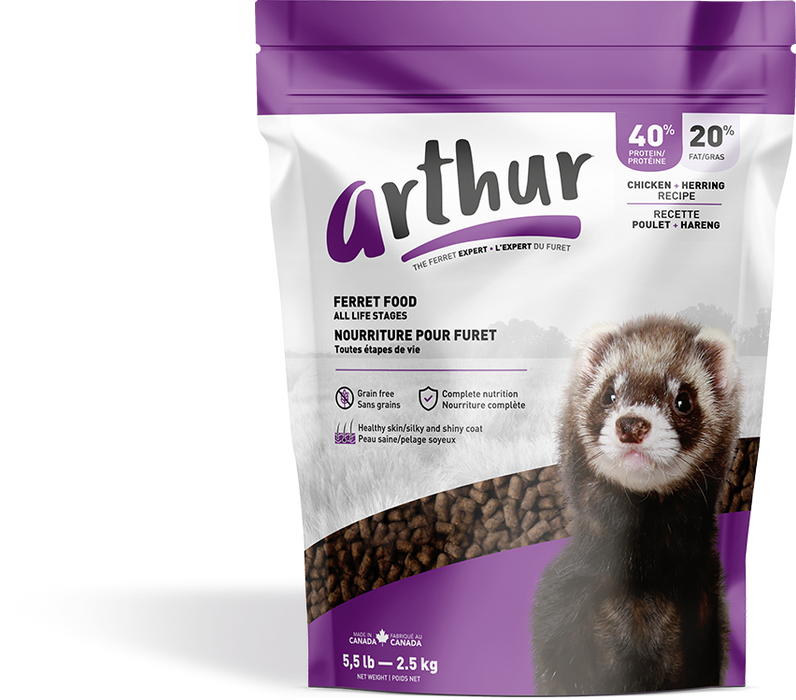 Arthur poulet et hareng nourriture furet