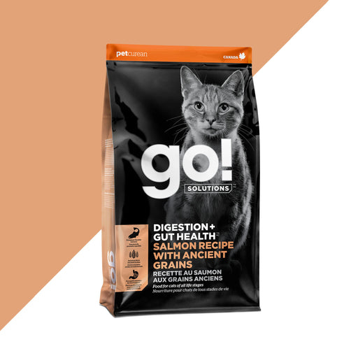 GO petcurean chat digestion et santé intestinale aux grains anciens et saumon