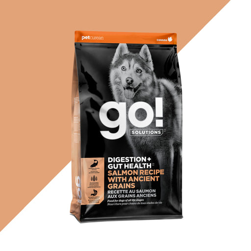 GO petcurean chien digestion et santé intestinale saumon et grains anciens (produit du Canada)