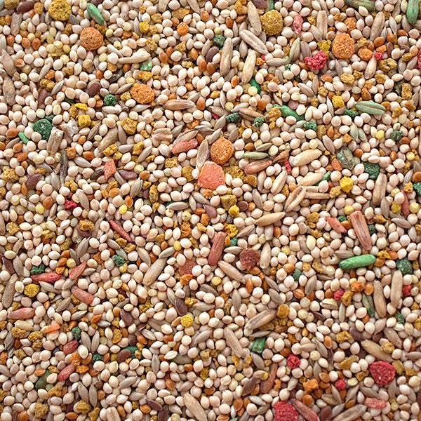 Sunseed nourriture pour perroquetpour perruche