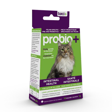 Baci+ probio + pour chat