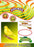 Zoo-max nourriture serin