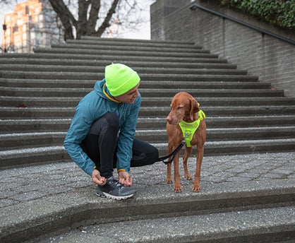 Rc pet harnais de contrôle pour chien