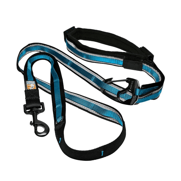 Laisse pour chien 6 En 1 quantum 72''