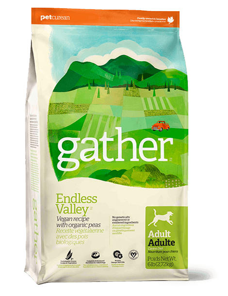 Gather recette végétarienne nourrriture pour chien