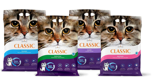 City classic litière agglomérante pour chats