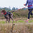Harnais CE ultimate pulling  noir pour chien
