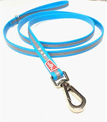 Wigzi laisse reflective pour chien
