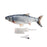 Poisson dansant électronique Pet Gravity pour chat