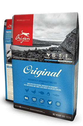 Orijen poulet dinde nourriture pour chien