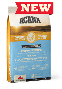 Acana recette grains santé pour chiots - Nourriture Chiots - ACANA - Acana recette grains santé pour chiots