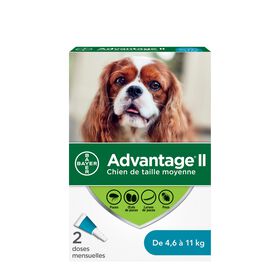 Advantage II - Protection puces+poux - Pour chiens - Puces et Tiques - Bayer - Advantage II - Protection puces+poux - Pour chiens