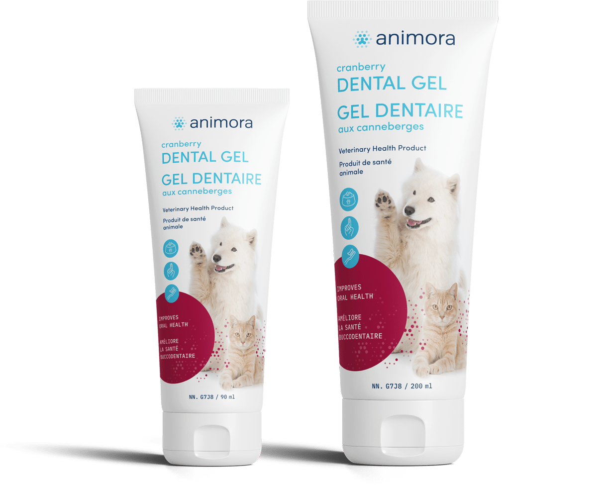 Animora gel dentaire aux canneberges - Hygiène dentaire - Animora - Animora gel dentaire aux canneberges